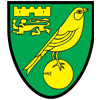 Norwich badge