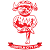 Lincoln City badge